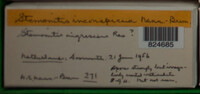 Image Associated With the Occurence